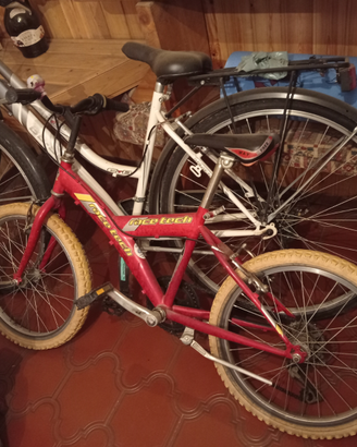 Bicicletta 20 pollici