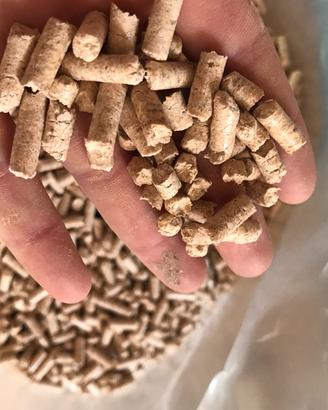 Pellet