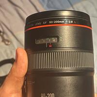 Canon EF 80-200mm f/2.8 L