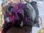Immagine 6