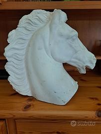 cavallo bianco gesso 