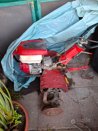 Motozappa barbieri