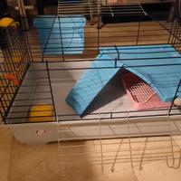 gabbia conigli porcellini d'india 