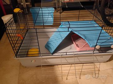 gabbia conigli porcellini d'india 