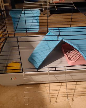 gabbia conigli porcellini d'india 