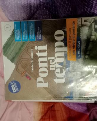 Libro di storia 1 media ponti nel tempo 