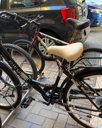 Bicicletta city bike con cestino e porta pacchi