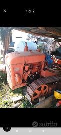 trattore fiat 25C 