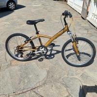 Bici tipo BMX