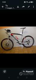 MTB  in carbonio