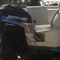 Mercury optimax o per ricambi