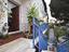 Immagine 12