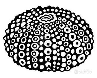 Gestione pizzeria da asporto