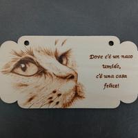 Targhette coi disegni/frasi gatti e cani vari 💫