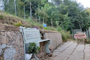 Appartamento con giardino