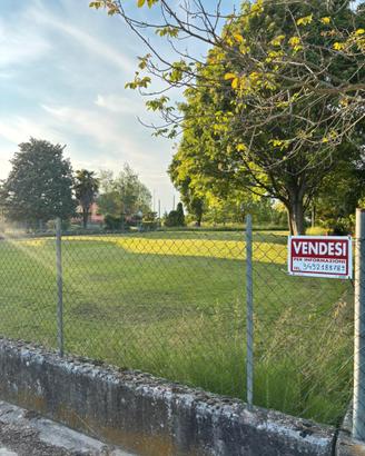 Terreno edificabile recintato
