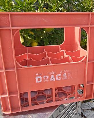 Cassetta Vini Cantine Dragani Abruzzo – 12