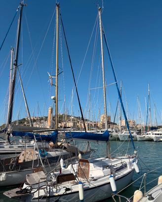 Barca a vela Altura A 701