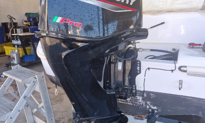 Mercury f40 pro 2024 ore moto 36