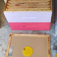 arnie per api e attrezzatura