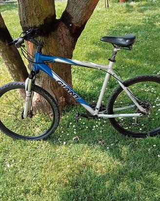 Mountain bike Giant