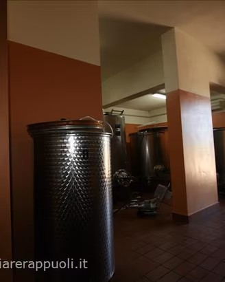 AG33 - Castel del Piano Grosseto azienda a