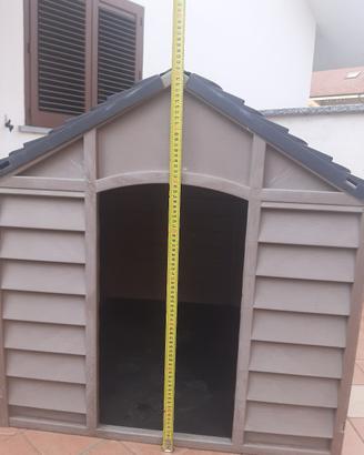 cuccia cane