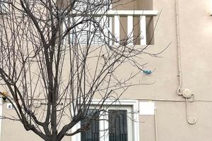 Pesaro zona Mare Attico 4 locali 80 mq. ristruttur