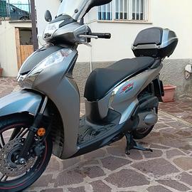 Sh 300 sport
