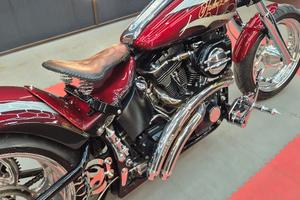 Harley davidson  Softail Special