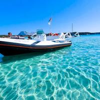 ZAR 47 + 70hp JOHNSON SUZUKI + CARRELLO BALBI