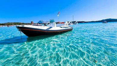 ZAR 47 + 70hp JOHNSON SUZUKI + CARRELLO BALBI