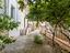 Immagine 11
