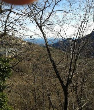 Terreno agricolo