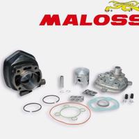 Gruppo Termico Malossi