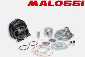 Gruppo Termico Malossi