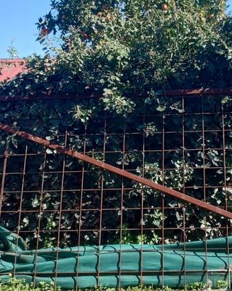 Cancello da cantiere