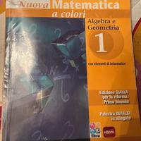 Libri di matematica