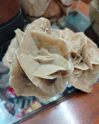 rosa del deserto 