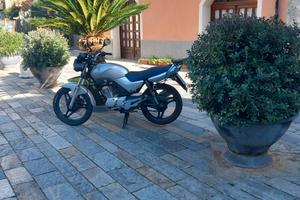 Yamaha jbr 