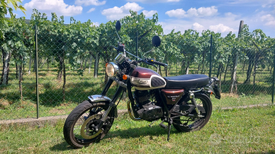 Mash Seventy Five 125 -2017