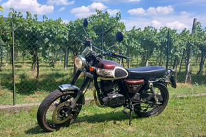 Mash Seventy Five 125 -2017