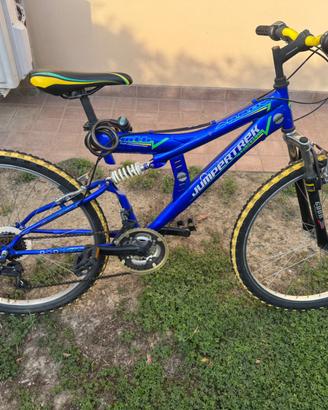 Bicicletta
