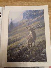stampa artistica il bramito del cervo