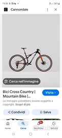 Bicicletta  mtb