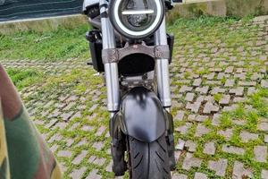capiva raptor 650