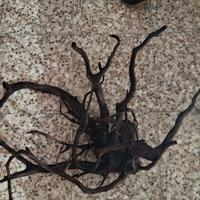 RADICE DI MANGROVIA PER ACQUARIO 