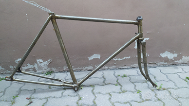 Telaio bici fixed trattato owatroll