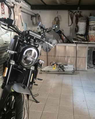 Benelli leoncino 250