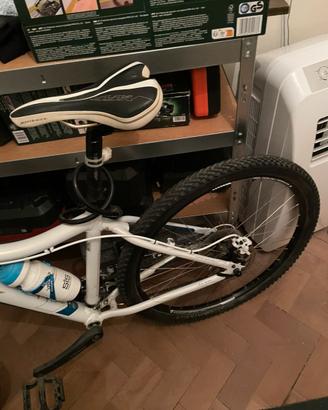 MTB TREK